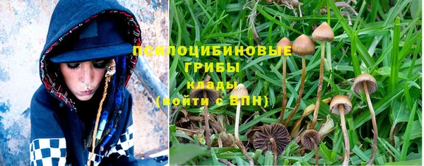 первитин Бородино