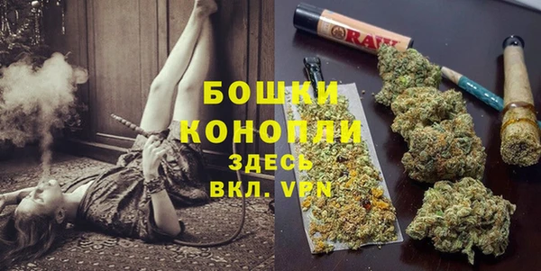 spice Бугульма