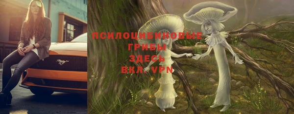 mdpv Верхний Тагил