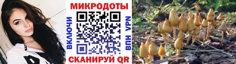 mega ссылки  Кизел  Галлюциногенные грибы Magic Shrooms 